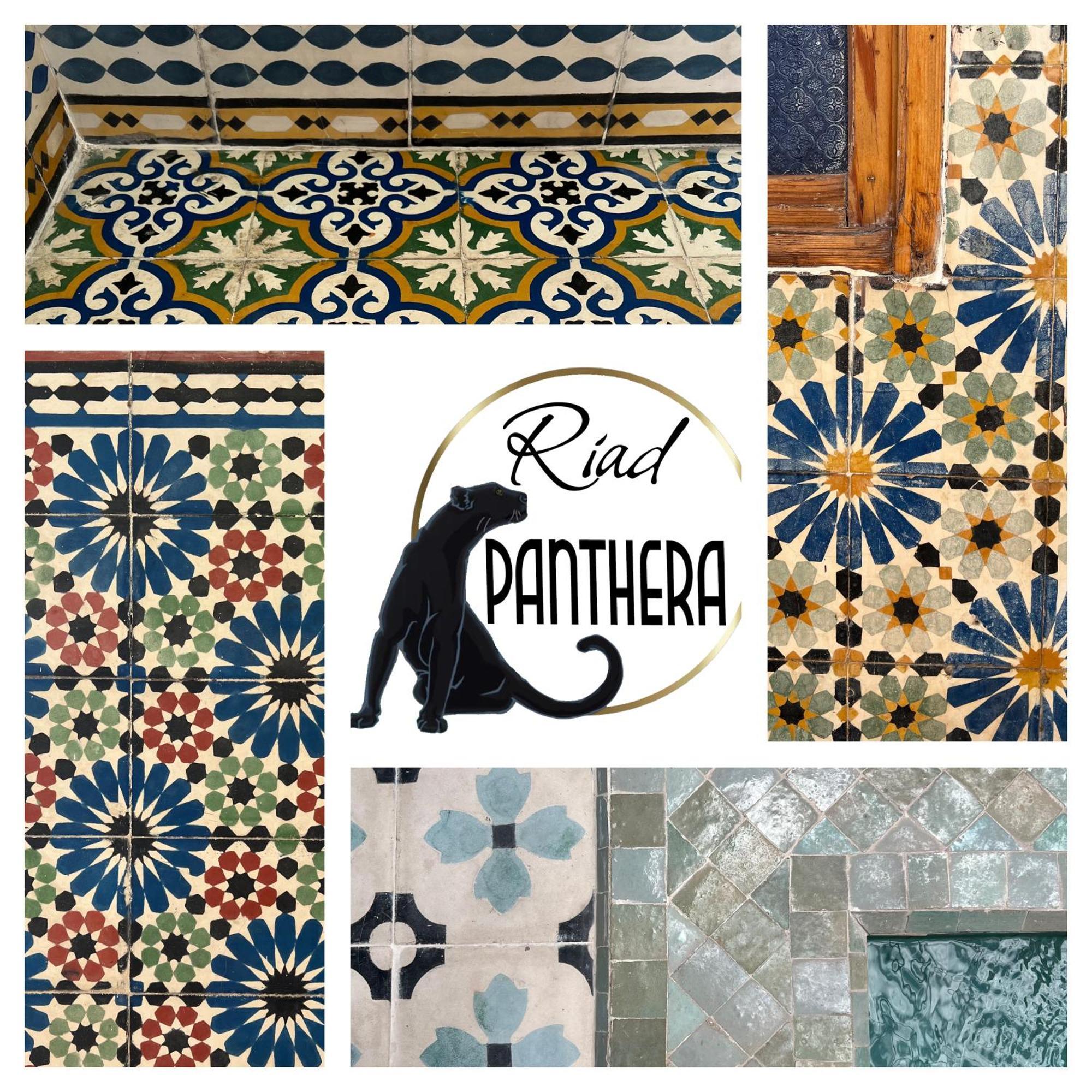 Panthera, Medina Villa Marrakesh