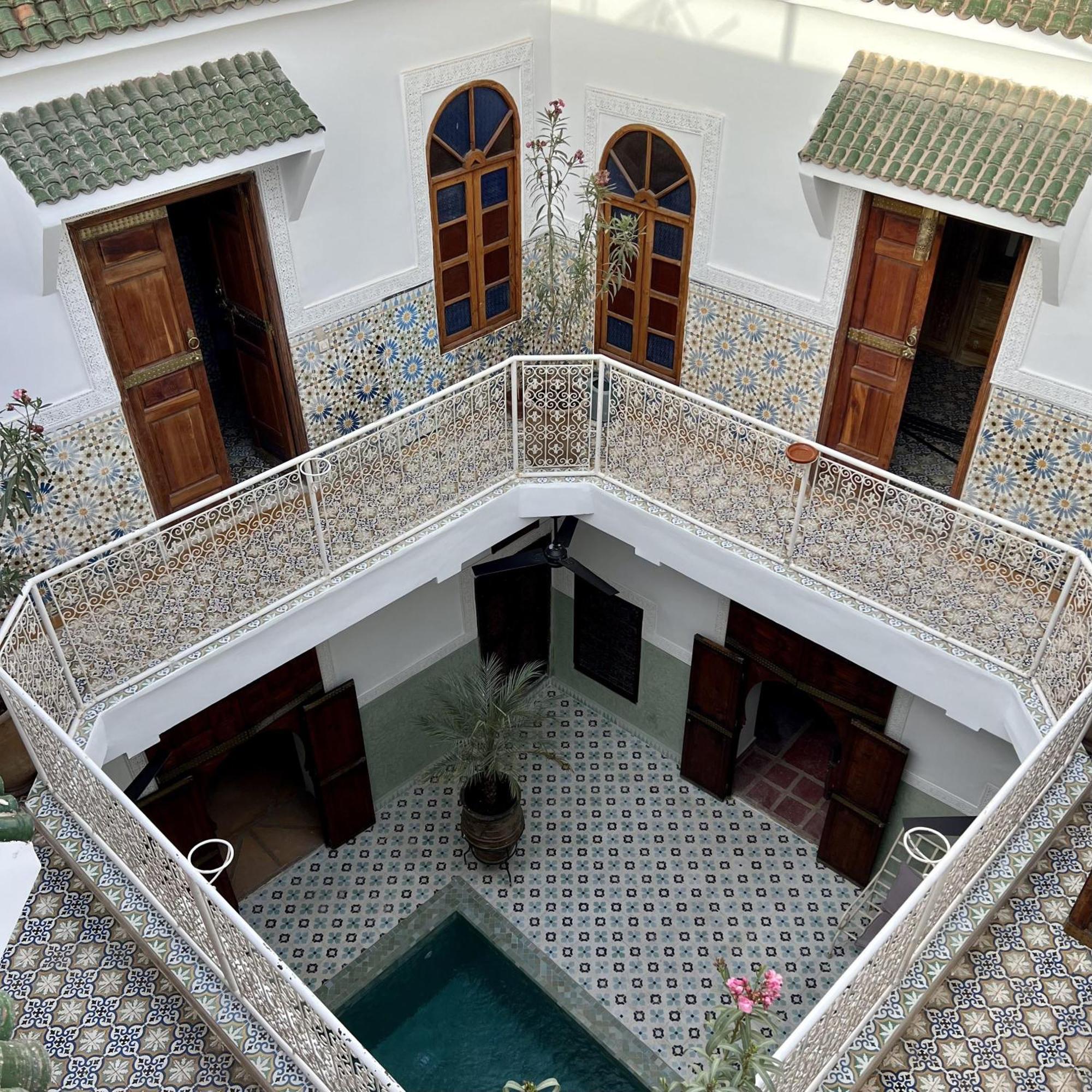 Panthera, Medina Marrakesch